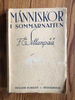 M&auml;nniskor i sommarnatten