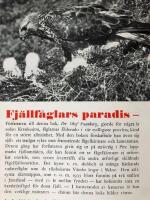 Fj&auml;llf&aring;glars paradis.