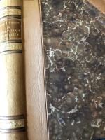 Sju romantiska ber&auml;ttelser