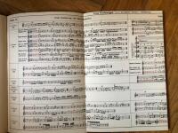 Die Blockfl&ouml;te und ihre Spielweise in Vergangenheit und Gegenwart