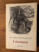 I stormen