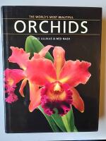 The world&acute;s most beautiful orchids