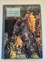 Tr&auml;dg&aring;rdens perenna v&auml;xter