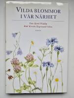 Vilda blommor i v&aring;r n&auml;rhet