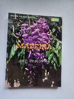 Madeira - En &ouml;, en blomma