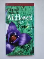 The most beautiful wildflowers of Crete