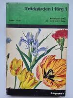 Tr&auml;dg&aring;rden i f&auml;rg 1 : Ett&aring;riga v&auml;xter L&ouml;k- och kn&ouml;lv&auml;xter