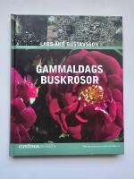 Gammaldags buskrosor