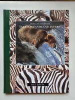 Intelligens bland djuren