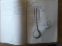 Uppfinningar: Patent 50201-50300 Kung. Patent och registreringsverket