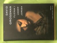 Flickan i underjorden