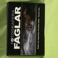 Fotografera f&aring;glar guide och inspiration till b&auml;ttre bilder