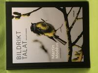Bildrikt talat reflektionsbok