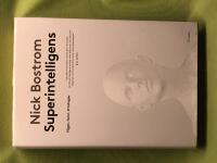 Superintelligens v&auml;gar, faror, strategier