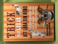 Trick och lekar att l&auml;ra din hund 