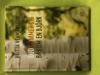 Gud g&ouml;mmer sig bakom en bj&ouml;rk 