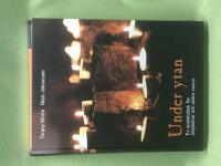 Under ytan en andaktsbok f&ouml;r ungdomar och andra vuxna