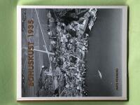 Bohuskust 1935 flygfotografier och vykort