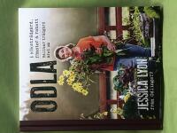 Odla i k&ouml;kstr&auml;dg&aring;rd, f&ouml;nster & rabatt h&aring;llbar tr&auml;dg&aring;rd &aring;ret om