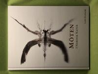 M&ouml;ten i nordisk natur