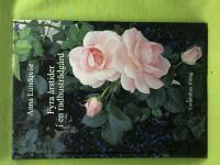 Fyra &aring;rstider i en radhustr&auml;dg&aring;rd 