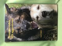 Hundars r&auml;dsla och aggressioner 