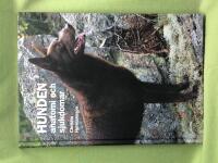 Hunden anatomi och sjukdomar