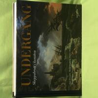 Underg&aring;ng skeppsbrott i konsten