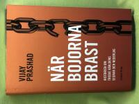 N&auml;r bojorna brast historien om Tredje v&auml;rldens segrar och nederlag