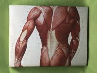 Ulrik Samuelson second hand