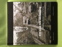 Ett aros blir en k&ouml;ping arkeologi i &Aring;kroken och Nyk&ouml;ping