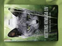 Kattens hemliga liv hur din katt ser på världen