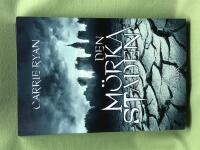 Den m&ouml;rka staden 