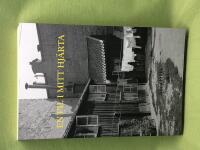 En pil i mitt hj&auml;rta 