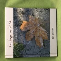 En skugga av k&auml;rlek tankar i sorgen