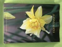 Narcisser folkk&auml;ra l&ouml;kar