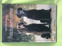Flatcoated retriever 