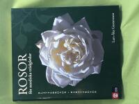 Rosor f&ouml;r nordiska tr&auml;dg&aring;rdar - Kl&auml;tterrosor och Rabattrosor