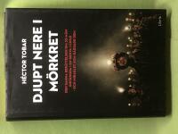 Djupt nere i m&ouml;rkret : den sanna ber&auml;ttelsen om 33 m&auml;n inst&auml;ngda i en gruva i Chile - och miraklet som r&auml;ddade dem