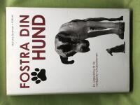 Fostra din hund - en v&auml;gledning till de vanligaste hundproblemen
