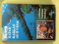 Bland hajar, karlar och vrak 