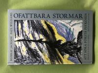 Ofattbara stormar att s&ouml;ka f&ouml;rst&aring; psykosen