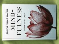 Mindfulness &ouml;gonblickens under