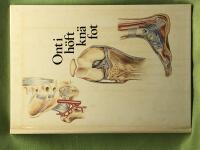 Ont i h&ouml;ft, kn&auml;, fot 