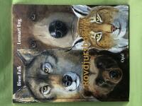 Rovdjursboken de fyra stora