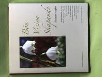 B&ouml;n, vision, skapande i Herrens ving&aring;rd