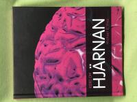 Kort om hj&auml;rnan 