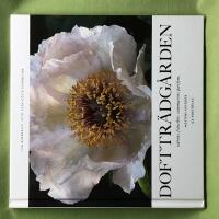 Dofttr&auml;dg&aring;rden v&aring;rens fr&auml;sch&ouml;r, sommarens parfym, h&ouml;stens kryddor