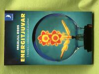 Energitjuvar - i familjen, i relationen och p&aring; jobbet