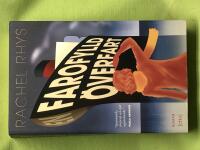 En farofylld &ouml;verfart roman